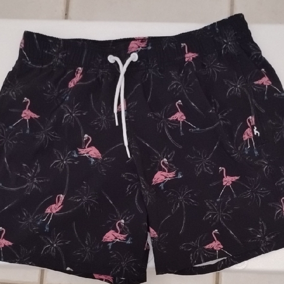 Hollister Other - Hollister Black Flamingo Men's Athletic Shorts